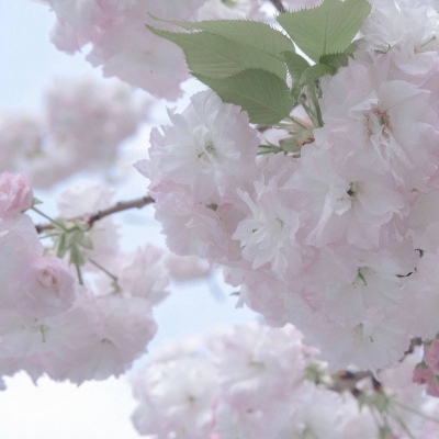 兽设科幻风格创作FurryQQ群